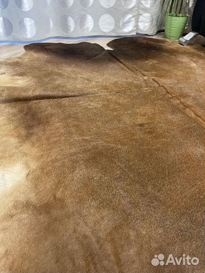 XXL шкура коровы ореховый окрас