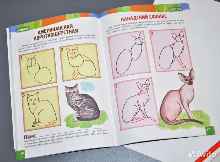 Журналы для обучения рисованию