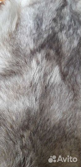 Шкура волка