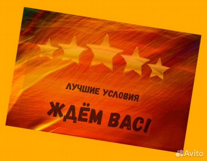 Маркировщик Еженедельный аванс М/Ж Спецодежда