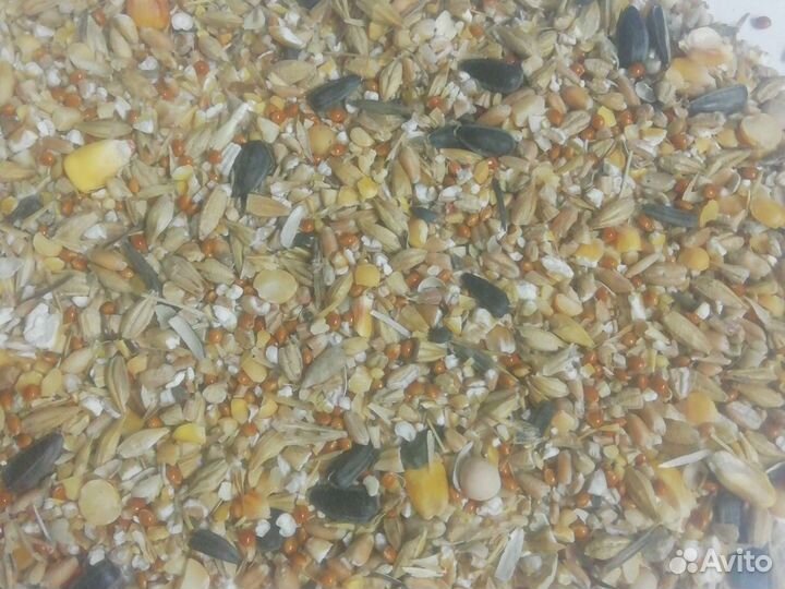 Зерносмесь дробленая для С/Х животных С/Х Птиц