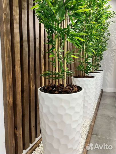 Бамбук искусственный