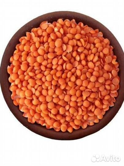 Чечевица красная