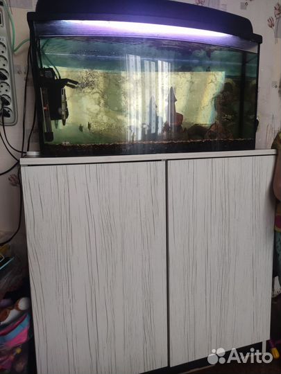 Аквариум+ шкафчик- тумба под аквариум