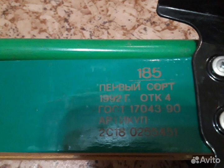 Горные лыжи