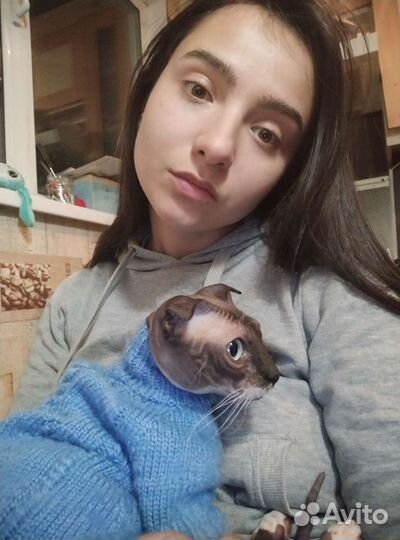 Услуги догситтера/кэтситтера(няня для собак или ко