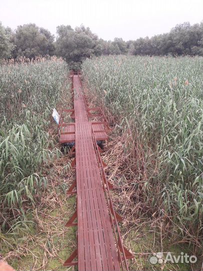 Экскурсовод по городу и области Астрахани