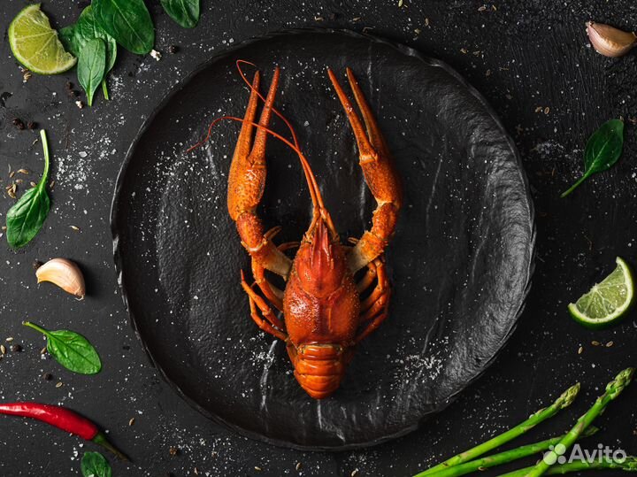 Раки волжские