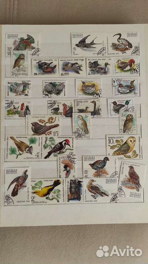 Альбом с марками СССР