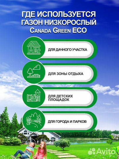 Газонная трава Низкорастущая ECO семена газона 5кг