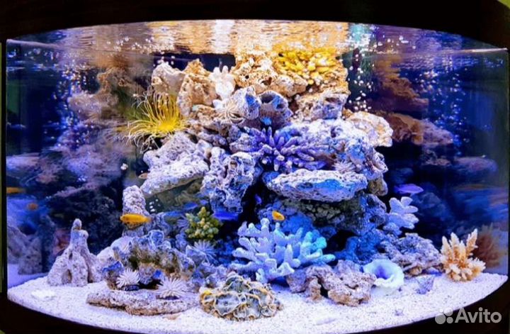 Чистка аквариума под ключ