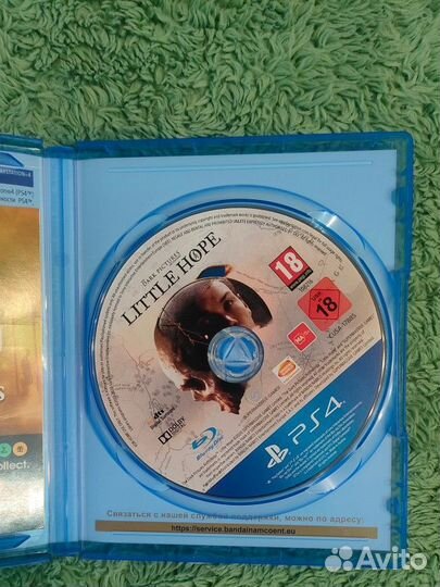 Dark pictures: Little hope (ps4)