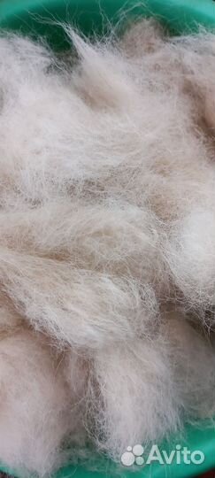 Собачья шерсть