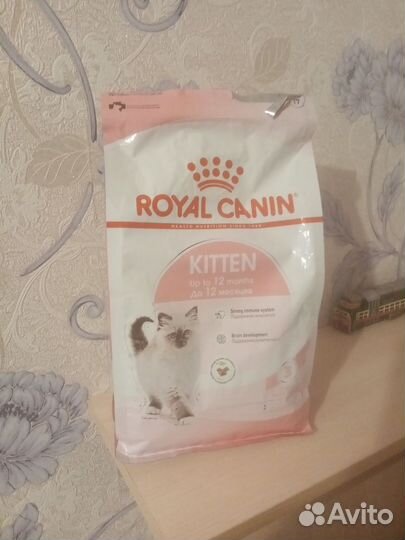 Влажный корм для котят Pro plan