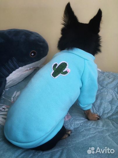 Толстовка для собачки