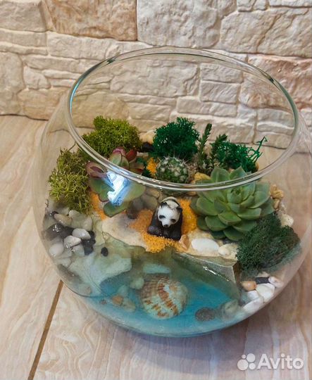 Флорариум с суккулентами