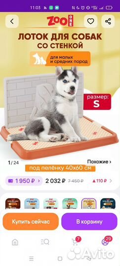 Лоток для собак новый S со стенкой