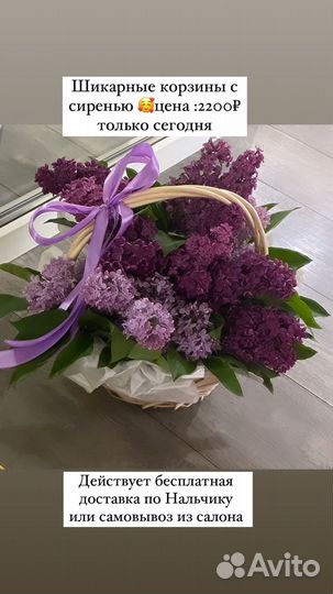 Букет из сирени