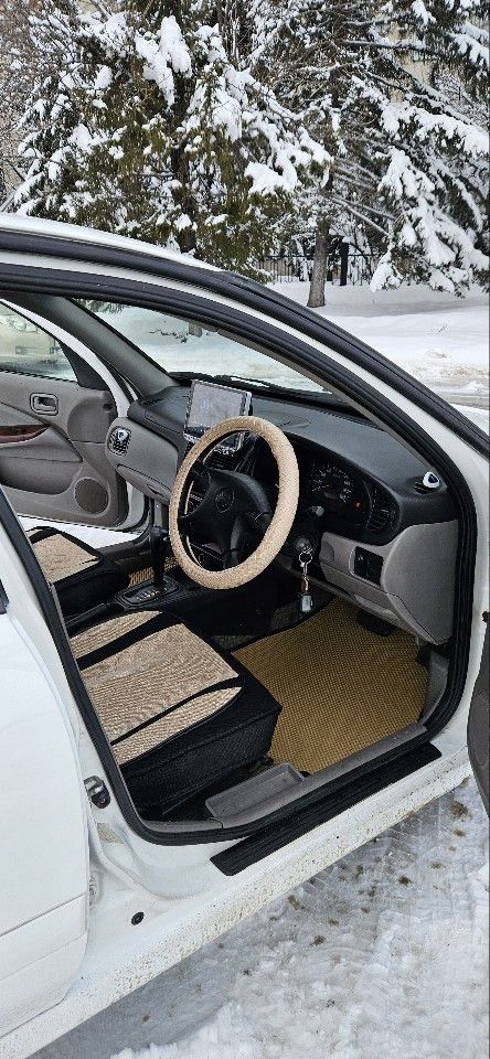 Nissan Bluebird Sylphy: фото из отзыва