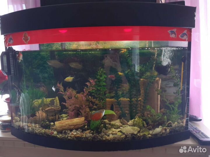 Аквариум