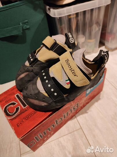 Скальные туфли scarpa booster