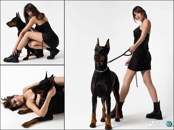 Фотосессия с доберманом 