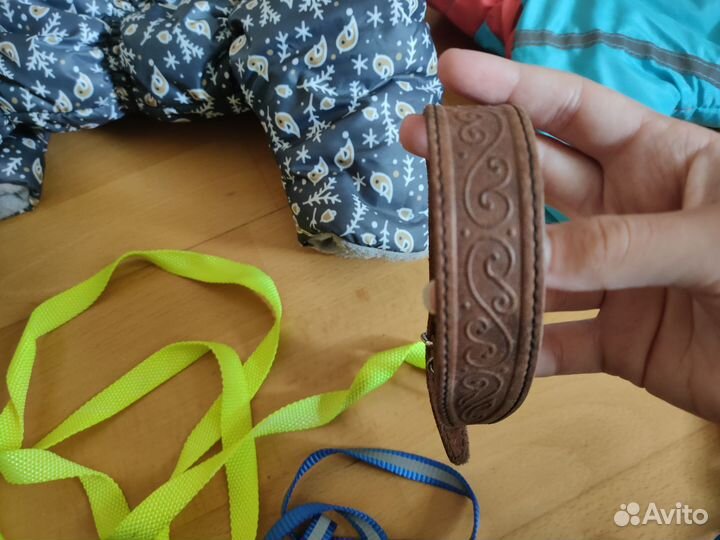 Осенний комбинезон для собак, амуниция, миска