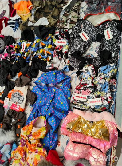 Одежда для собак