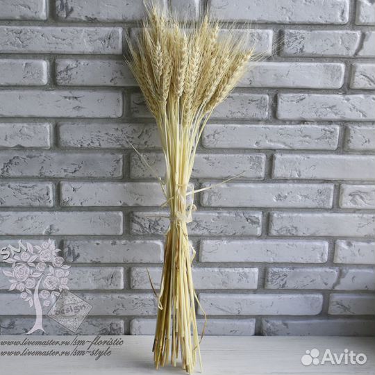 Пшеница натуральная (30 колосков) белая