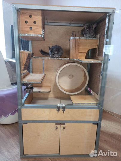 Витрина (клетка) для шиншиллы