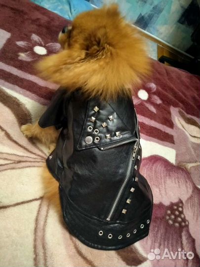 Курточка для собаки