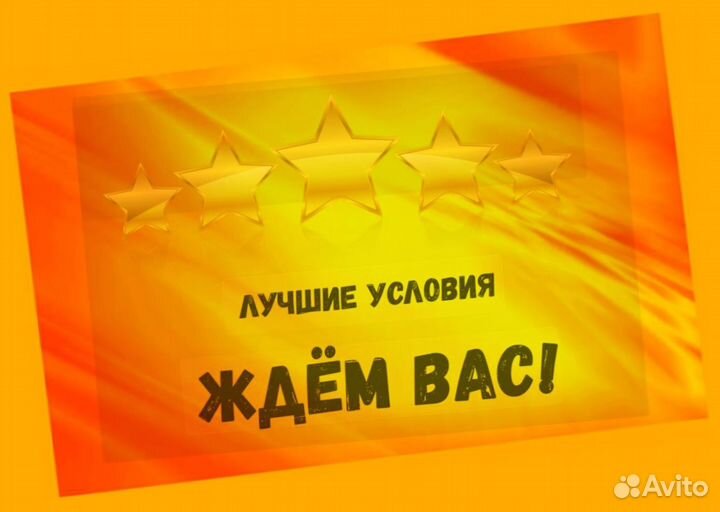 Комплектовщик Спецодежда Еженедельный аванс М/Ж