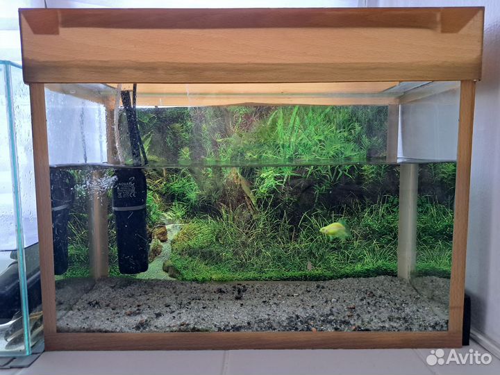 Аквариум с рыбками