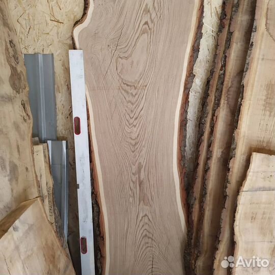 Слэб дубовый. Дуб Кавказский