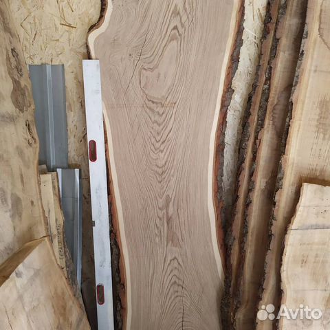 Слэб дубовый. Дуб Кавказский