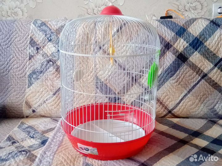 Клетка для попугая + канарейки