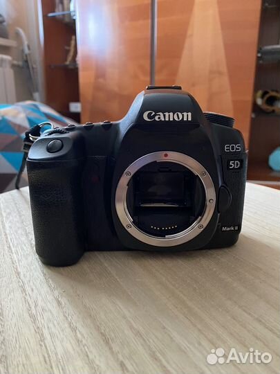 Зеркальный фотоаппарат canon 5d mark ii
