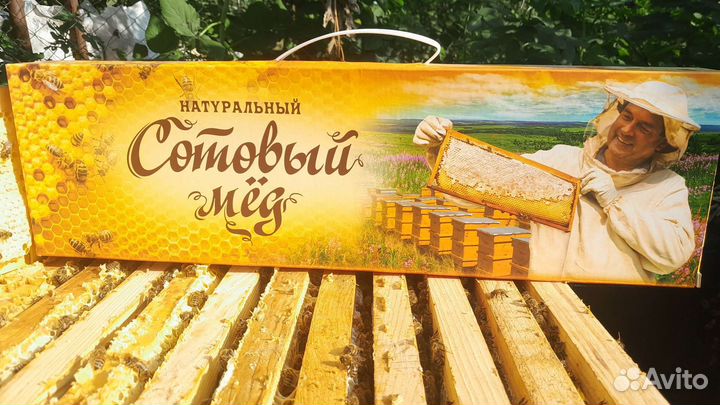 Сотовый мед