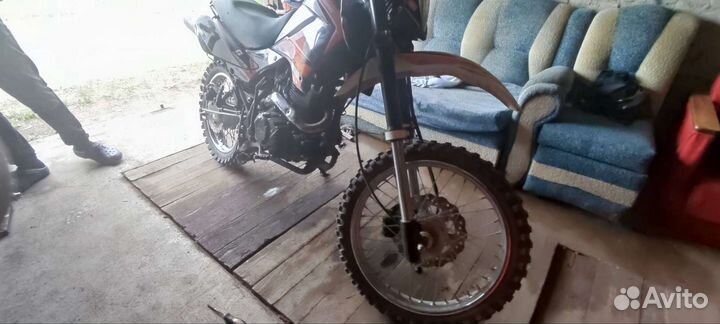 Racer pantera 200