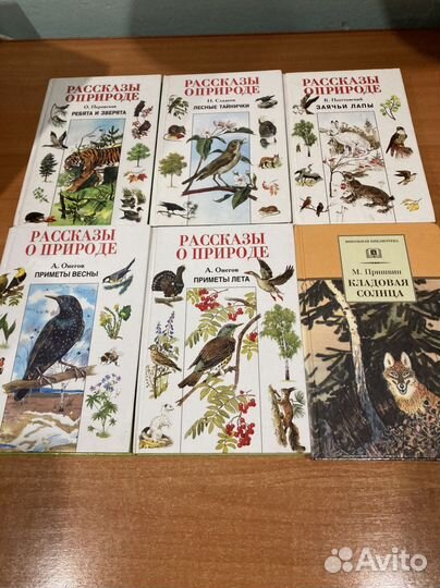 Книги для школьников