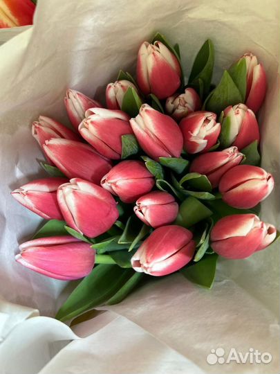 Тюльпаны к 8 марта