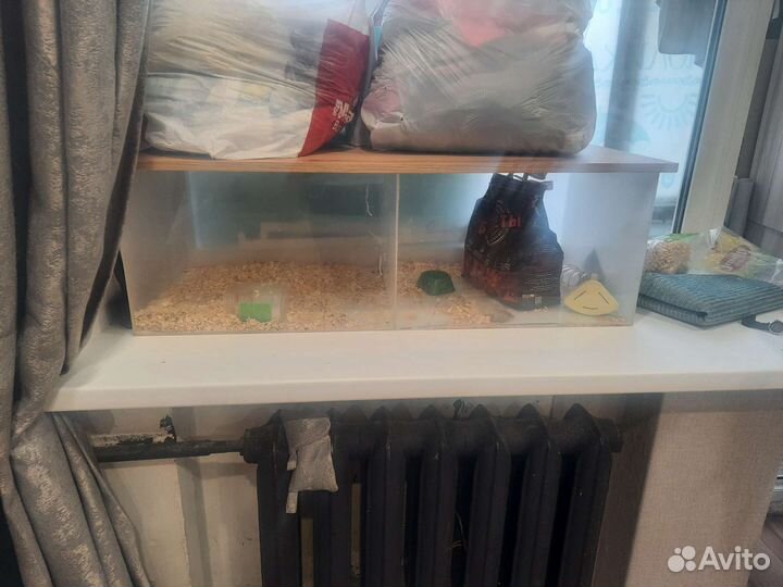 Аквариум, контейнер для сухопутных