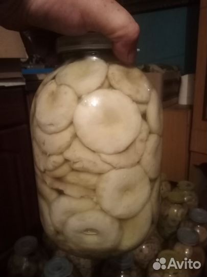 Грибы соленые
