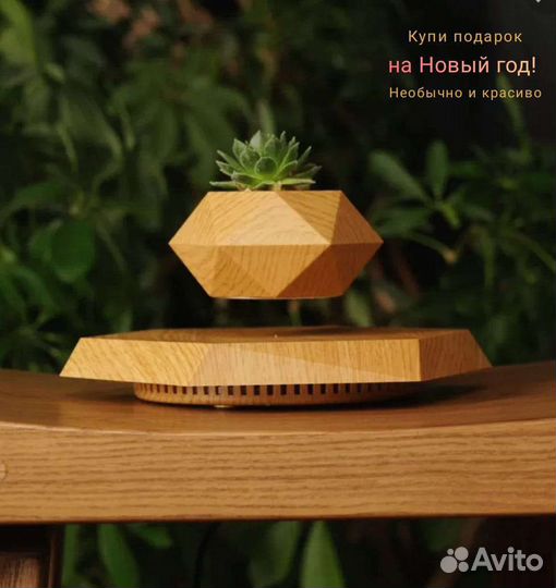 Левитирующий горшок