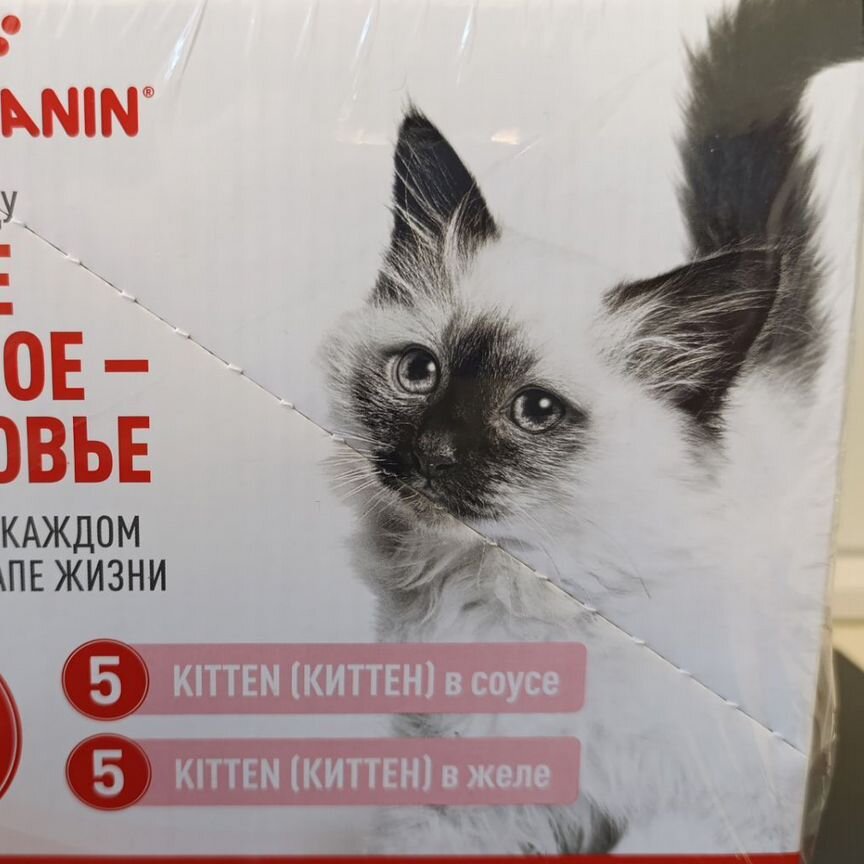 Влажный корм для кошек royal canin