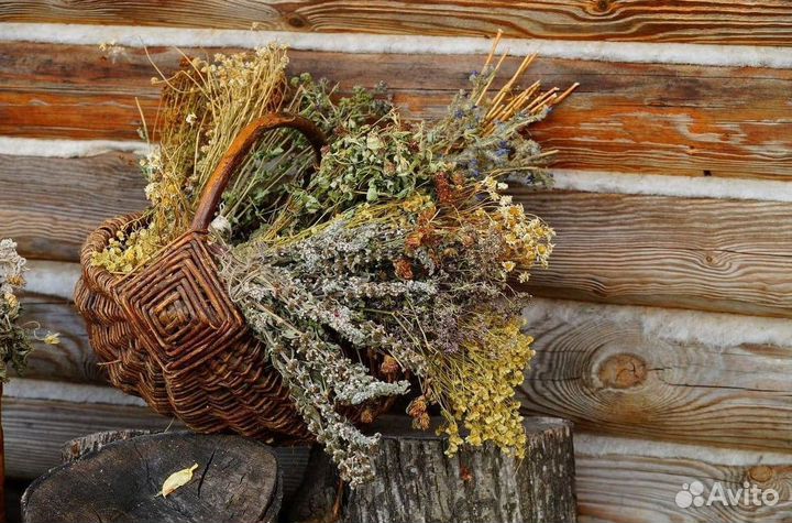 Трава для бани Донник оптом со склада в Челябинске