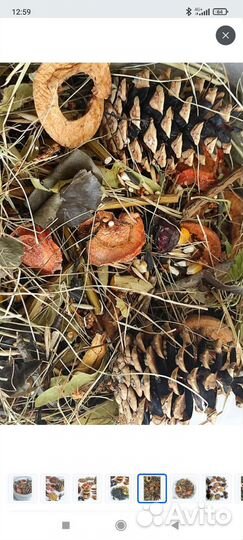 Копошилка для попугаев