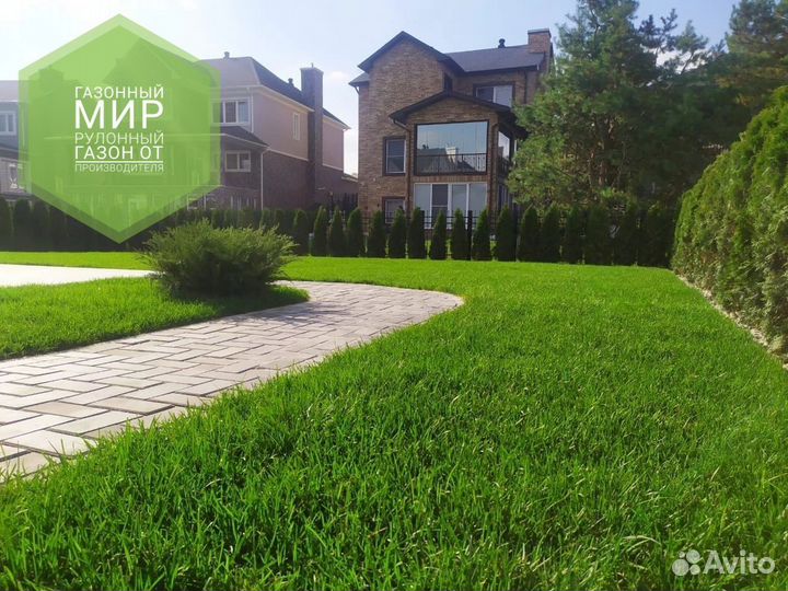 Рулонный газон