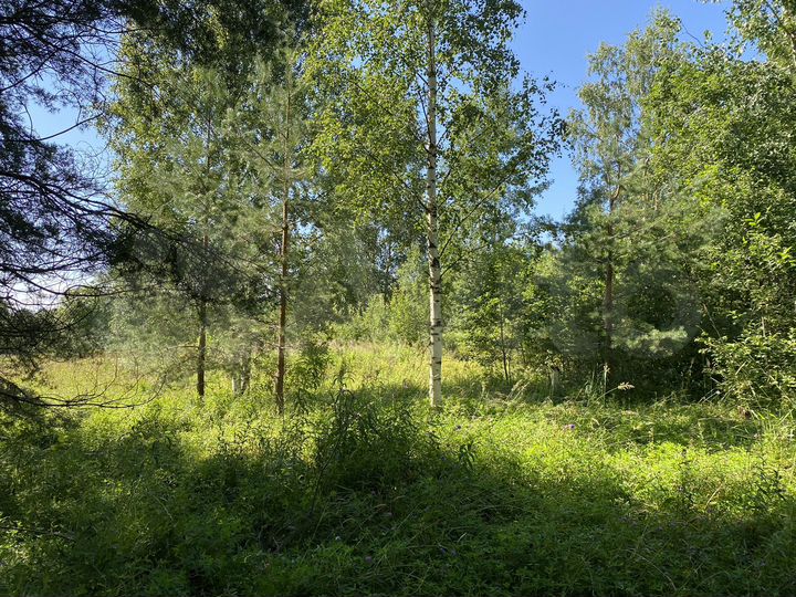 Участок 6 сот. (СНТ, ДНП)