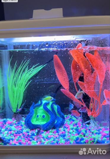 Аквариум 9 л компрессор свет